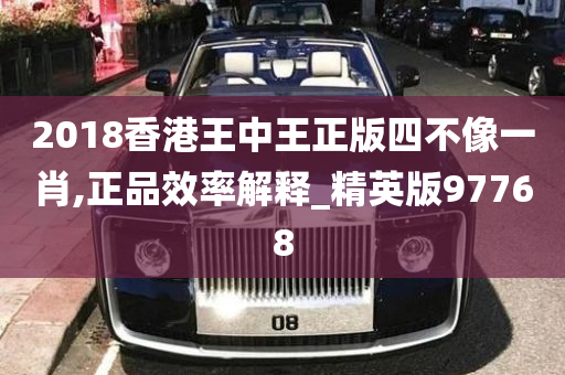 2018香港王中王正版四不像一肖,正品效率解释_精英版97768