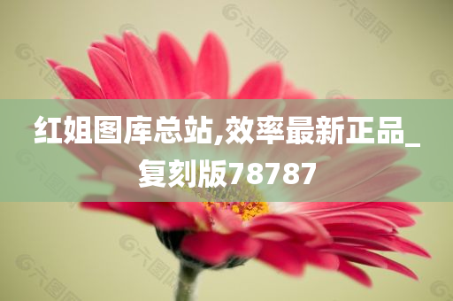 红姐图库总站,效率最新正品_复刻版78787