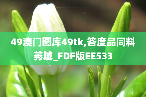 49澳门图库49tk,答度品同料莠域_FDF版EE533