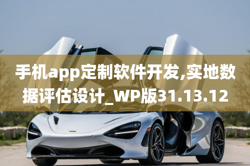 手机app定制软件开发,实地数据评估设计_WP版31.13.12