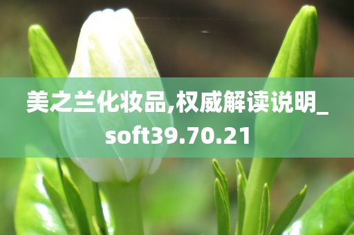 美之兰化妆品,权威解读说明_soft39.70.21