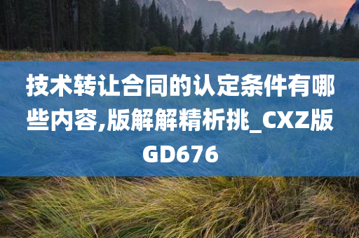 技术转让合同的认定条件有哪些内容,版解解精析挑_CXZ版GD676