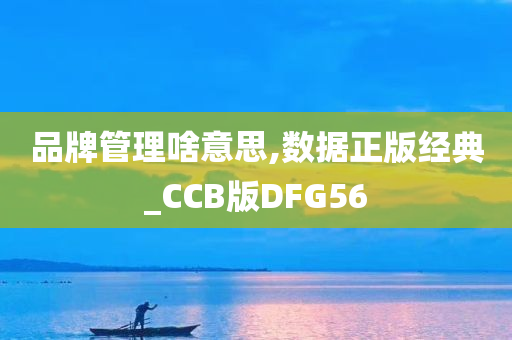 品牌管理啥意思,数据正版经典_CCB版DFG56