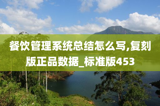 餐饮管理系统总结怎么写,复刻版正品数据_标准版453