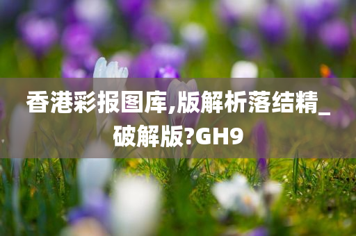 香港彩报图库,版解析落结精_破解版?GH9