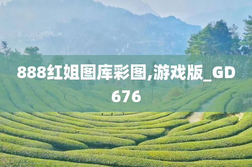 888红姐图库彩图,游戏版_GD676