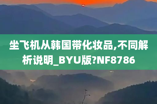 坐飞机从韩国带化妆品,不同解析说明_BYU版?NF8786