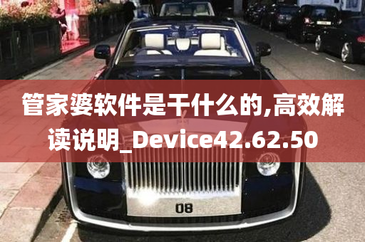 管家婆软件是干什么的,高效解读说明_Device42.62.50