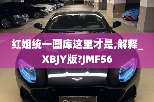 红姐统一图库这里才是,解释_XBJY版?JMF56