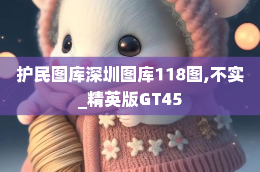 护民图库深圳图库118图,不实_精英版GT45