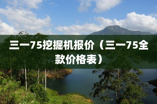 三一75挖掘机报价（三一75全款价格表）