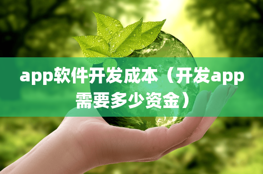 app软件开发成本（开发app需要多少资金）