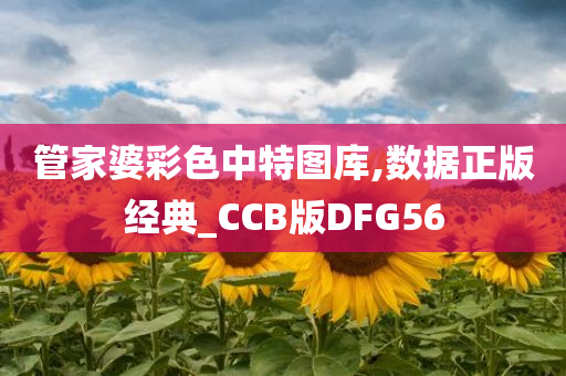 管家婆彩色中特图库,数据正版经典_CCB版DFG56