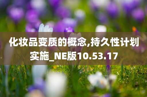 化妆品变质的概念,持久性计划实施_NE版10.53.17