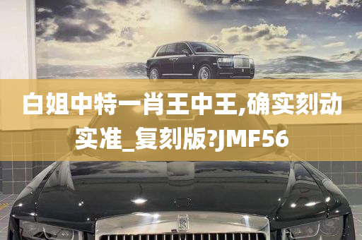 白姐中特一肖王中王,确实刻动实准_复刻版?JMF56