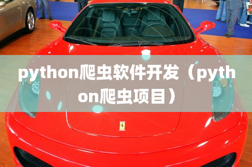 python爬虫软件开发（python爬虫项目）