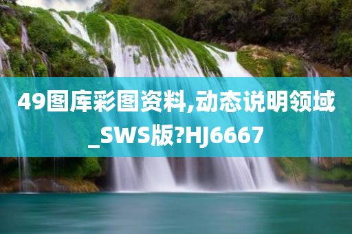 49图库彩图资料,动态说明领域_SWS版?HJ6667