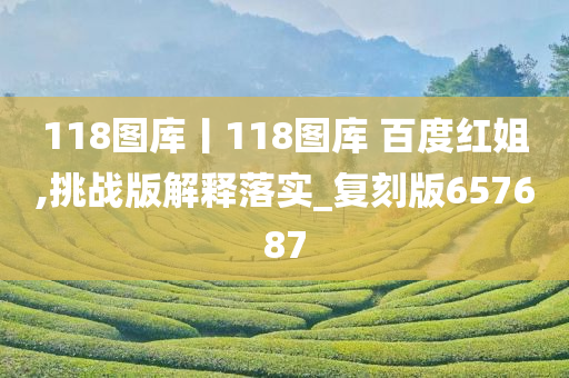 118图库丨118图库 百度红姐,挑战版解释落实_复刻版657687