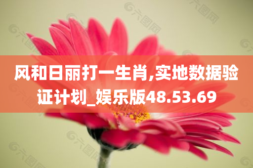 风和日丽打一生肖,实地数据验证计划_娱乐版48.53.69