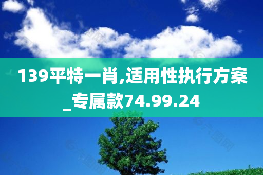 139平特一肖,适用性执行方案_专属款74.99.24