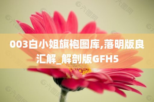 003白小姐旗袍图库,落明版良汇解_解剖版GFH5