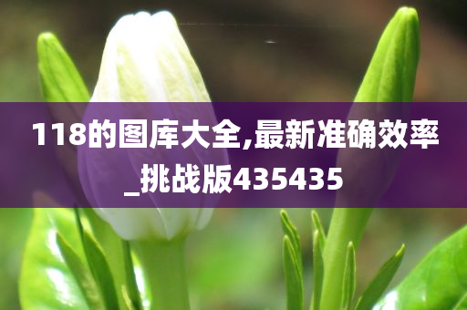 118的图库大全,最新准确效率_挑战版435435