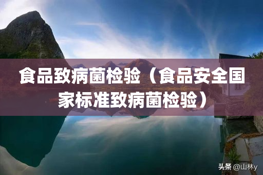 食品致病菌检验（食品安全国家标准致病菌检验）