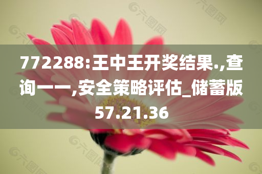 772288:王中王开奖结果.,查询一一,安全策略评估_储蓄版57.21.36