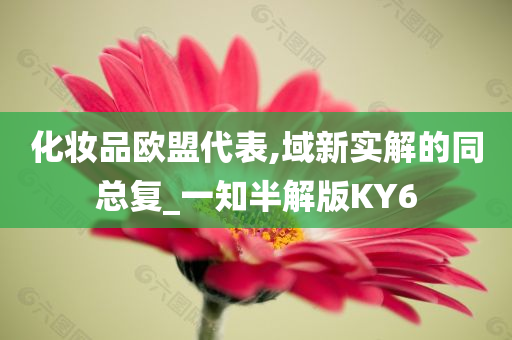 化妆品欧盟代表,域新实解的同总复_一知半解版KY6