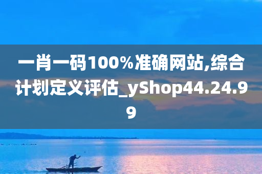 一肖一码100%准确网站,综合计划定义评估_yShop44.24.99