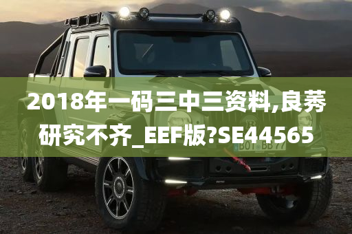 2018年一码三中三资料,良莠研究不齐_EEF版?SE44565