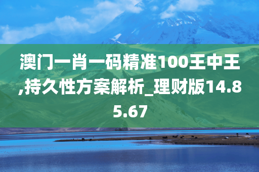 澳门一肖一码精准100王中王,持久性方案解析_理财版14.85.67