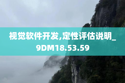 视觉软件开发,定性评估说明_9DM18.53.59