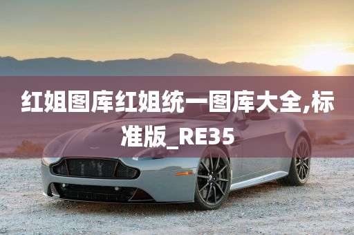 红姐图库红姐统一图库大全,标准版_RE35