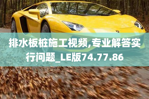 排水板桩施工视频,专业解答实行问题_LE版74.77.86