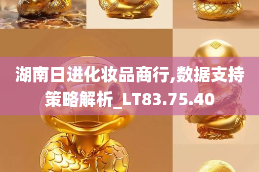 湖南日进化妆品商行,数据支持策略解析_LT83.75.40