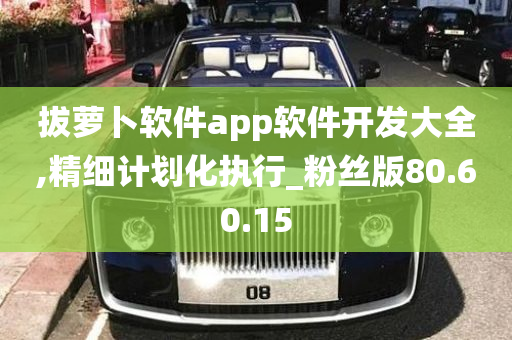 拔萝卜软件app软件开发大全,精细计划化执行_粉丝版80.60.15