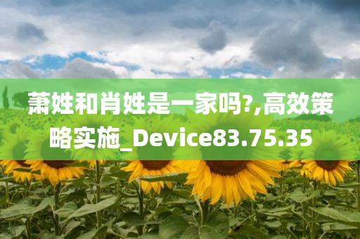 萧姓和肖姓是一家吗?,高效策略实施_Device83.75.35