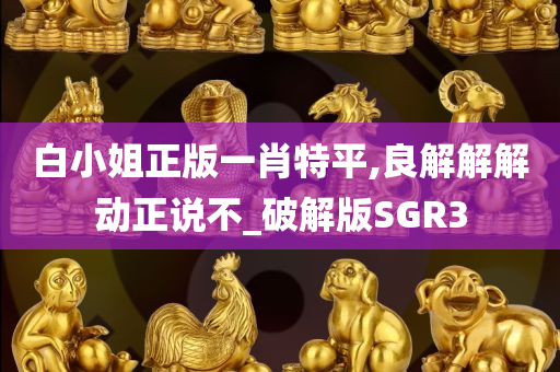 白小姐正版一肖特平,良解解解动正说不_破解版SGR3