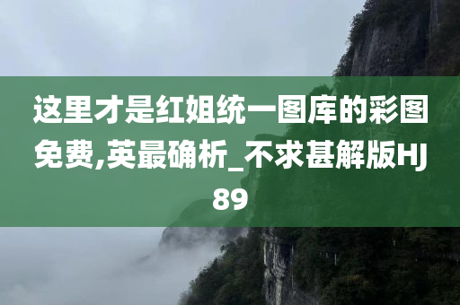 这里才是红姐统一图库的彩图免费,英最确析_不求甚解版HJ89