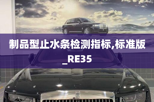 制品型止水条检测指标,标准版_RE35