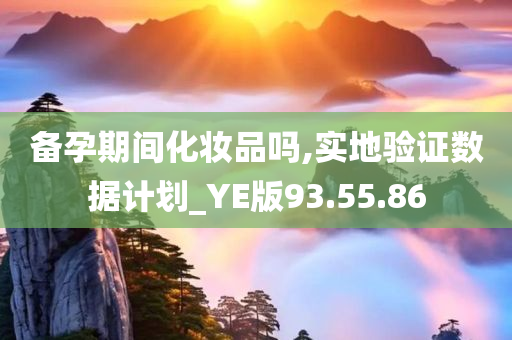 备孕期间化妆品吗,实地验证数据计划_YE版93.55.86