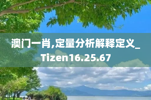 澳门一肖,定量分析解释定义_Tizen16.25.67