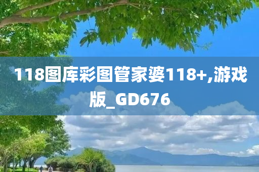 118图库彩图管家婆118+,游戏版_GD676