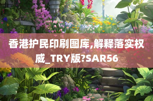 香港护民印刷图库,解释落实权威_TRY版?SAR56