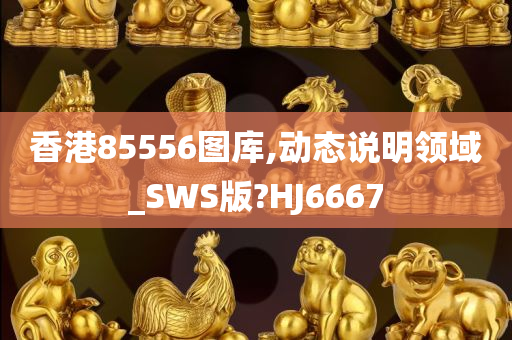 香港85556图库,动态说明领域_SWS版?HJ6667