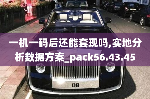 一机一码后还能套现吗,实地分析数据方案_pack56.43.45