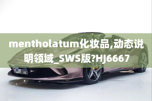 mentholatum化妆品,动态说明领域_SWS版?HJ6667