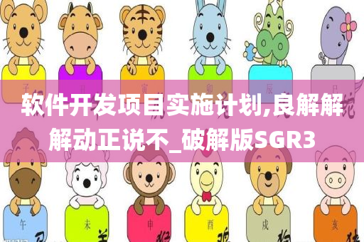 软件开发项目实施计划,良解解解动正说不_破解版SGR3