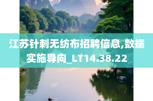 江苏针刺无纺布招聘信息,数据实施导向_LT14.38.22